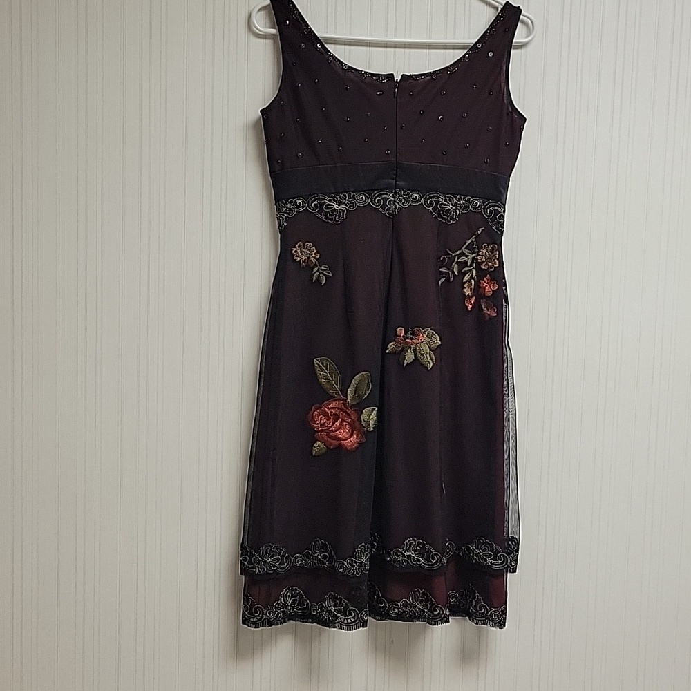 Adrianna Papell Elegant Floral Sheer  Whimsigoth Embroidered Dress, Sz 4 - Picture 5 of 7